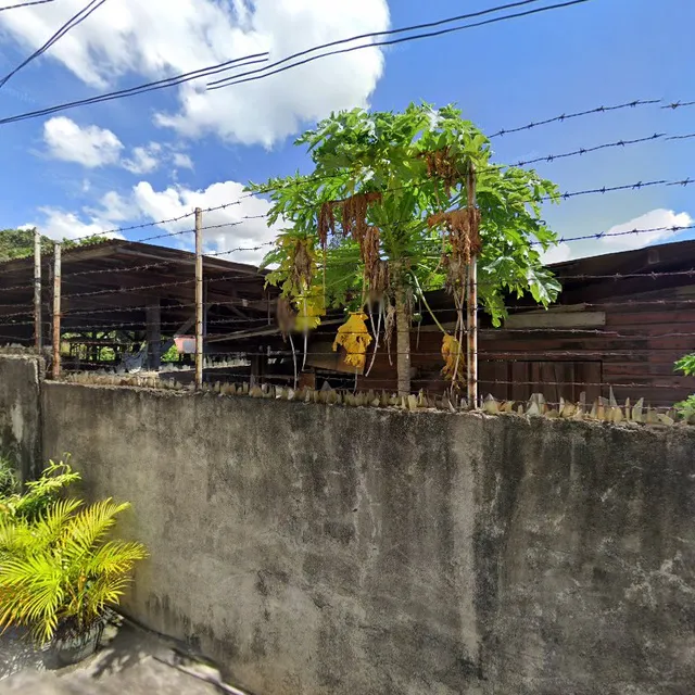Raphael Learns To Eat Restaurant