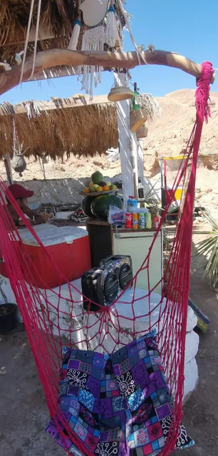 White Bar - Blue hole Dahab