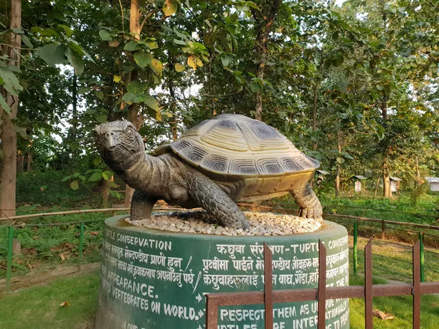 Turtle Rescue and Conservation Center (TRCC)