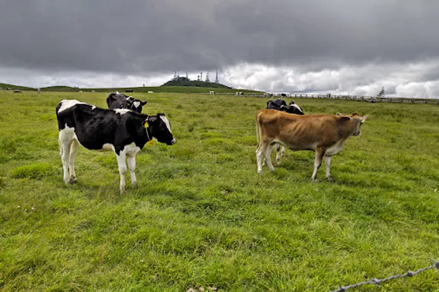 Utsukushigahara Ranch