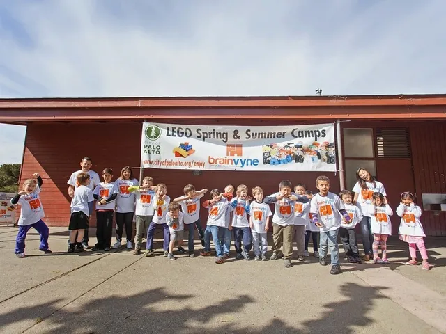 BrainVyne LEGO & Money Camps