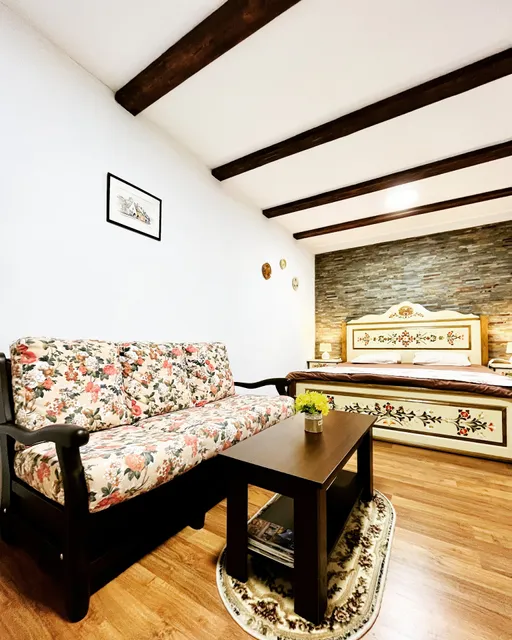 The Transylvanian Apartment | cazare centru vechi Sibiu | regim hotelier Sibiu