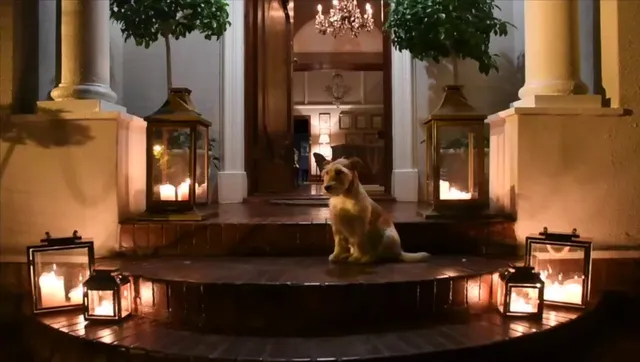 The Great Gatsby Houghton