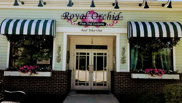 Royal Orchid