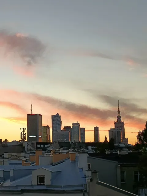 Willow Pillow Nowowiejska