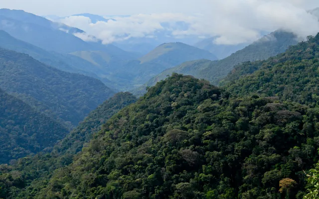 Parque Estadual Turístico do Alto Ribeira