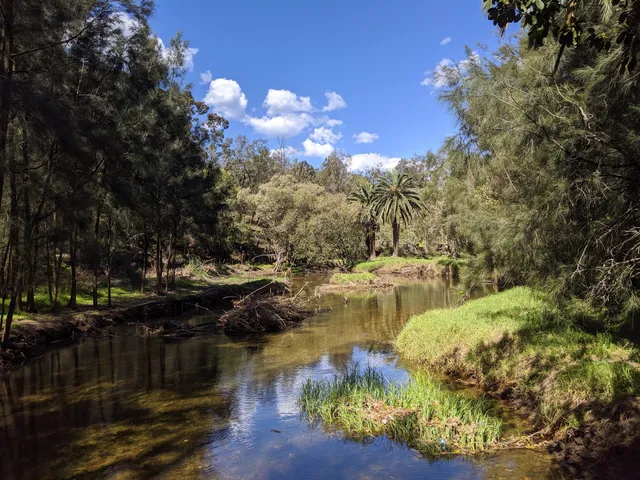 North Arm Walking Track