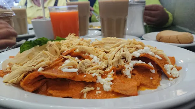 Los Bisquets Obregón San Jerónimo