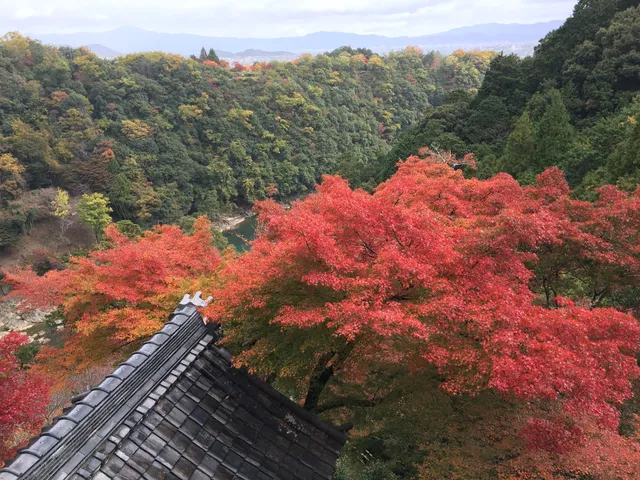 Arashiyama Myokendō Temple