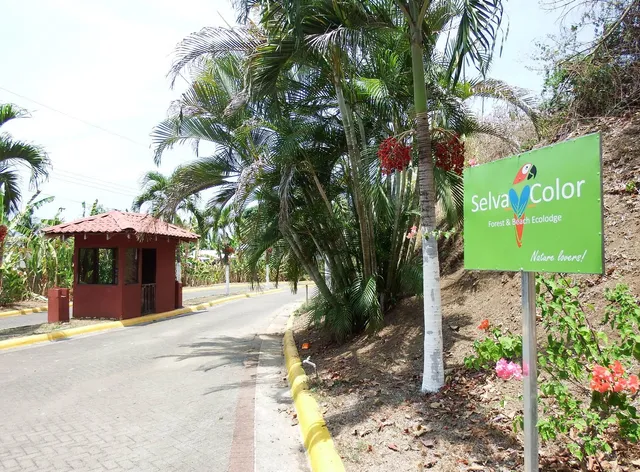 Selva Color