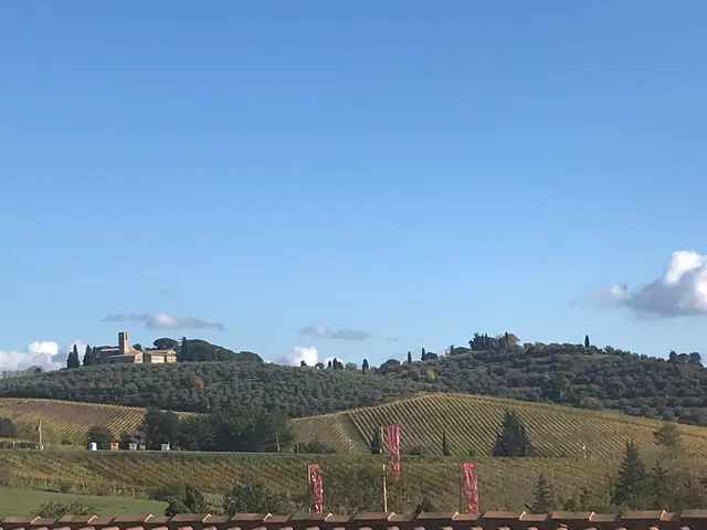 Azienda Agricola Palagetto