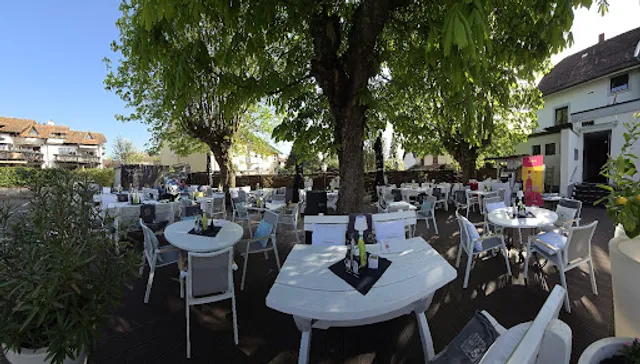 Il pomodoro Konstanz