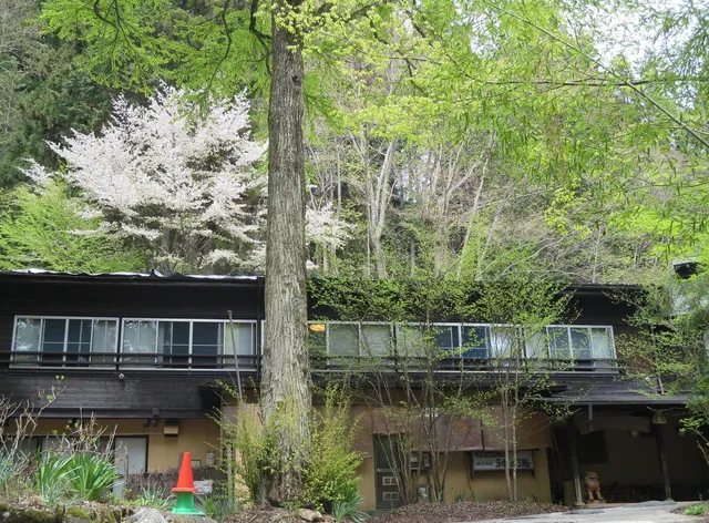 Dokuzawa mineral spring Kaminoyu