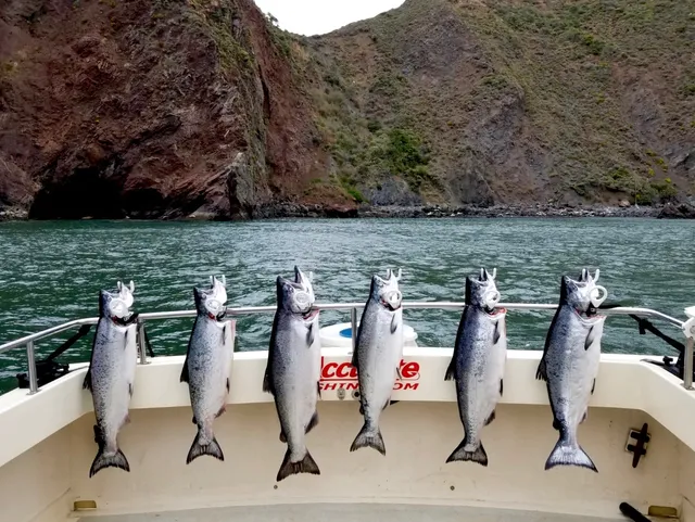 GATECRASHER FISHING ADVENTURES