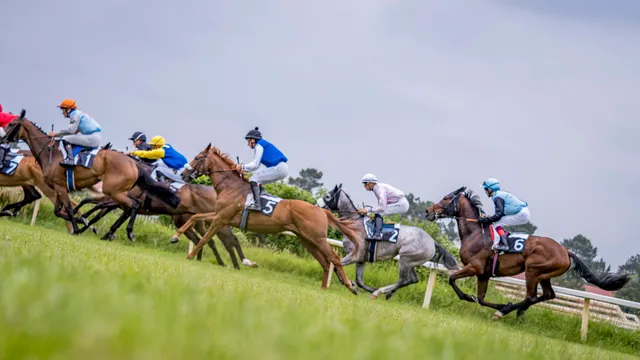 Hippodrome Royan-Atlantique