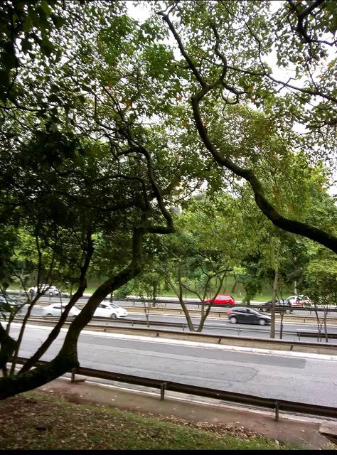 Parque Linear da Vila Guarani