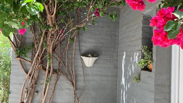 Departamentos del Cerro