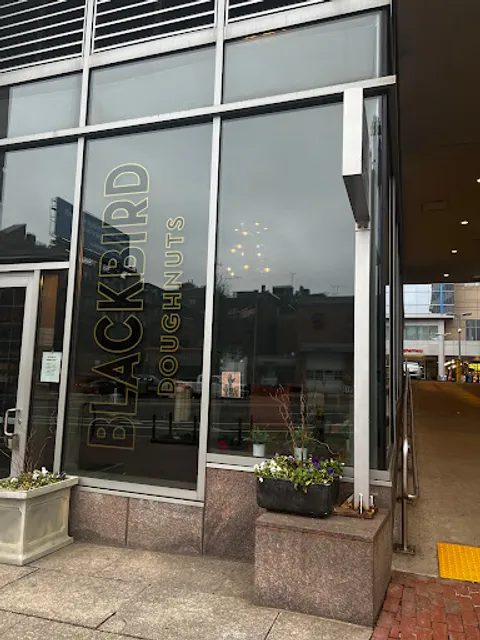 Blackbird Doughnuts Beacon Hill