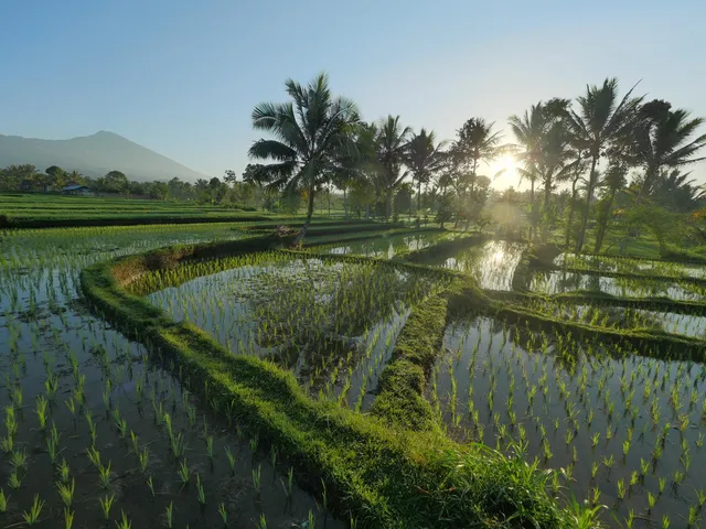 Lombok Tetebatu Tour Local Guide Abu