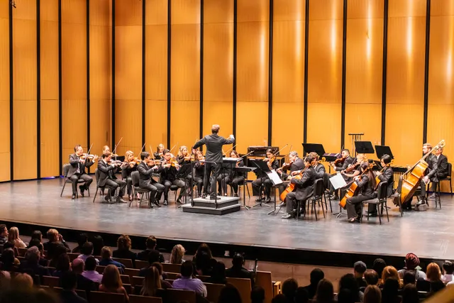 Dallas Chamber Symphony