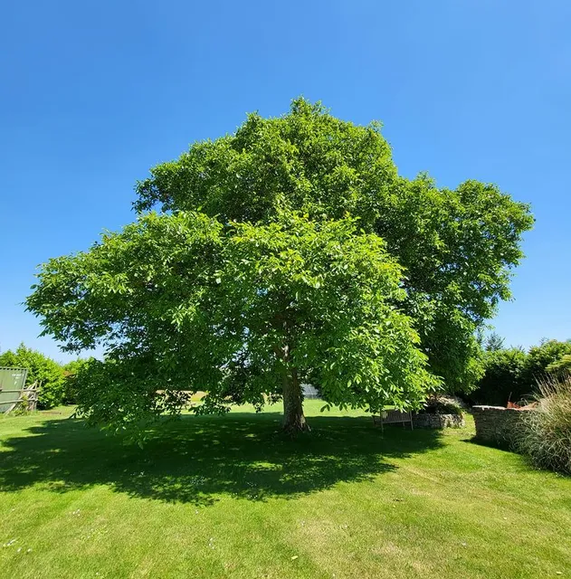 Pitts Farm Cottages, Somerset