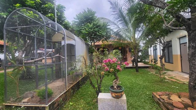 Thanh Bình Homestay