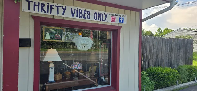Thrifty Vibes Only: A Curated Collection of Goods