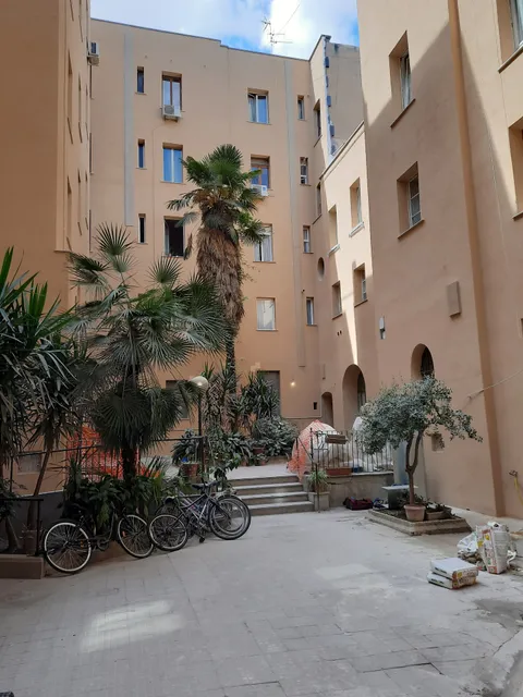 Heart of San Lorenzo