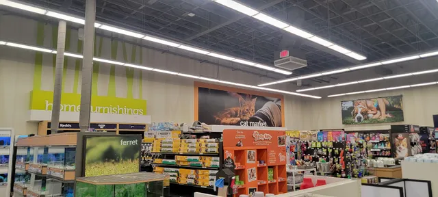 betrbowl, by Pet Planet Maricopa