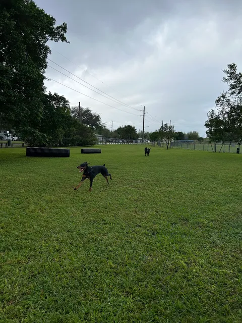Miami Springs Dog Park’s