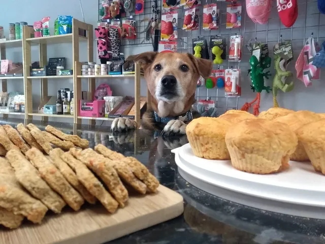 The Mog and Dog Squad