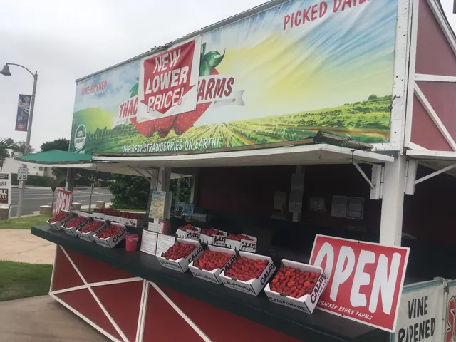 Thacker Berry Farms - La Habra Stand