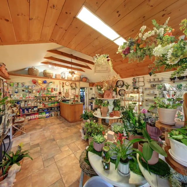 Lang’s Garden + Design