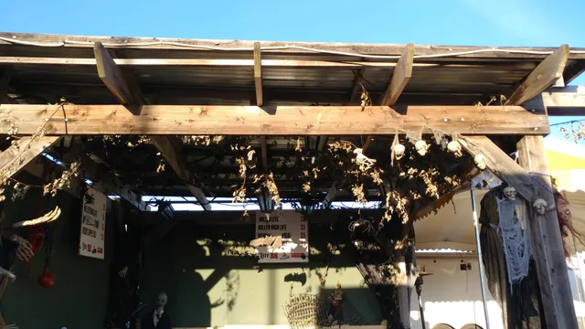 Zywiec's Landscape and Garden Center