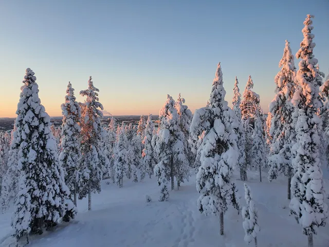 Ounasvaara Winter Trail