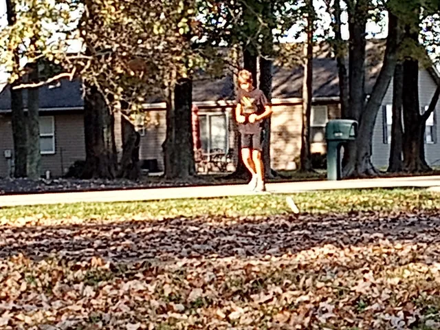 Felicity Ball Fields