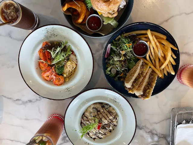 白貓散步 Gatto Bianco