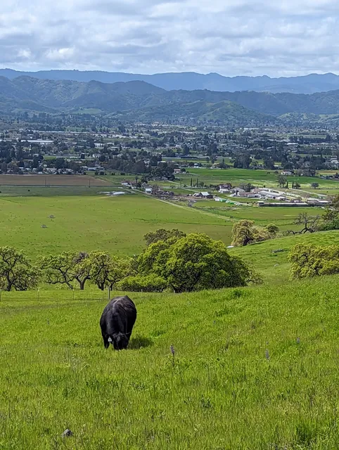 Coyote Lake-Harvey Bear Ranch County Park