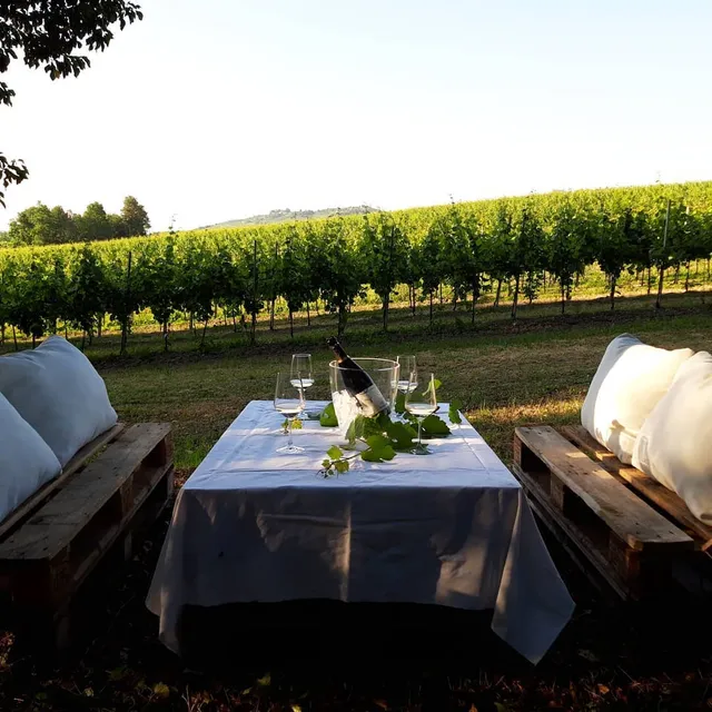 AZIENDA AGRICOLA BOSCO LONGHINO