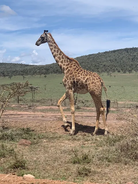 Sanctuary Horse Riding