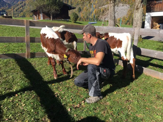 FEREINWOHNUNG hallweger geiern