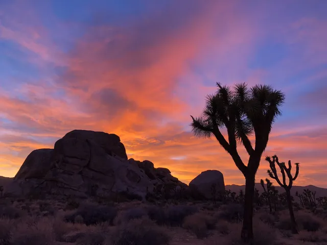 Camp Vortex Retreat Center -Joshua Tree
