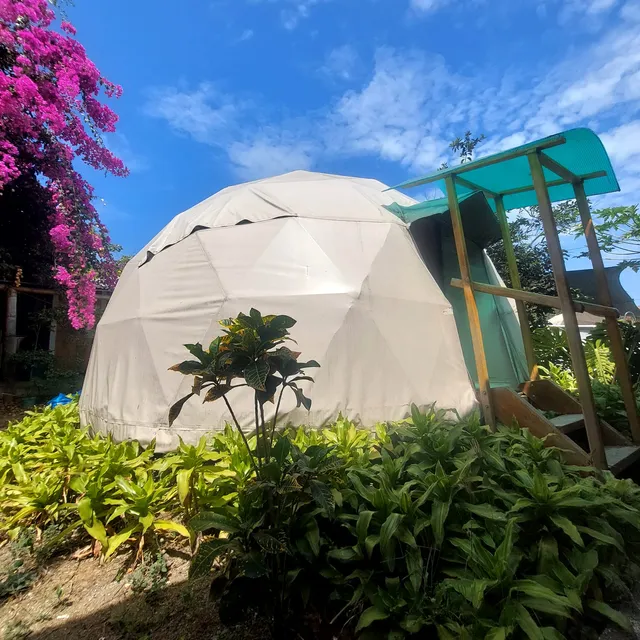 Nativa Whale Domes Glamping & Camping