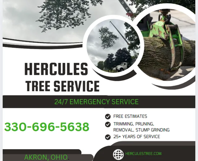 Hercules Tree Service LLC