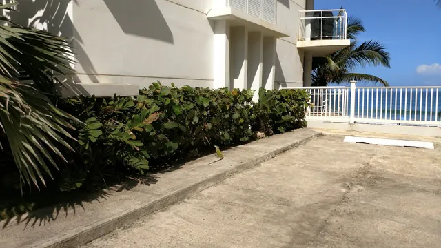 Sandy Beach Apartments