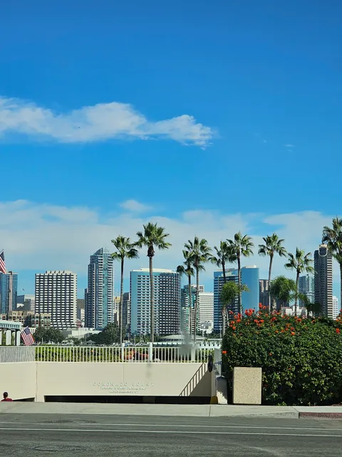 Coronado professional square