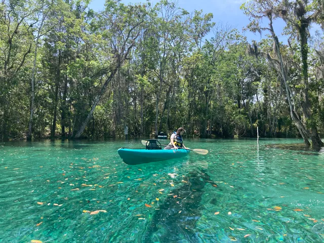 Crystal River Kayak Company and Dive Center