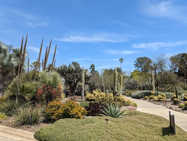 Desert Garden