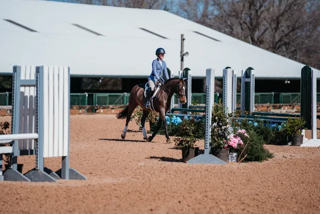 Checkmate Equestrian