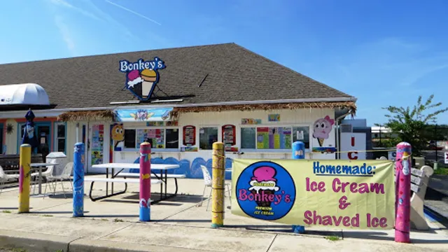 Bonkey's Ice Cream & Snoballs